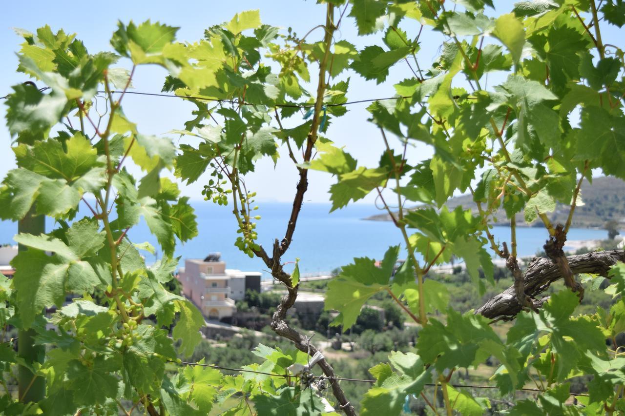 Belvedere Adriatica Qeparo Buitenkant foto